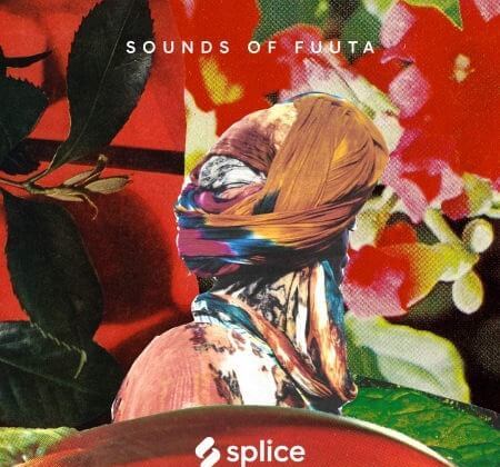 Splice Sessions Sounds of Fuuta WAV